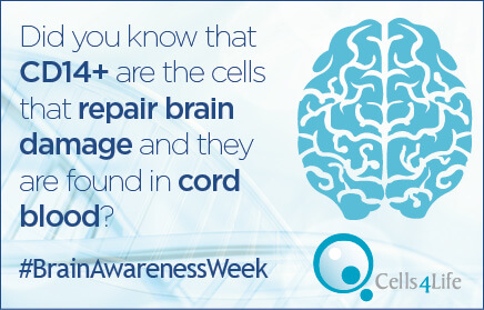 CD14+ cells to treat brain injury are found in cord blood