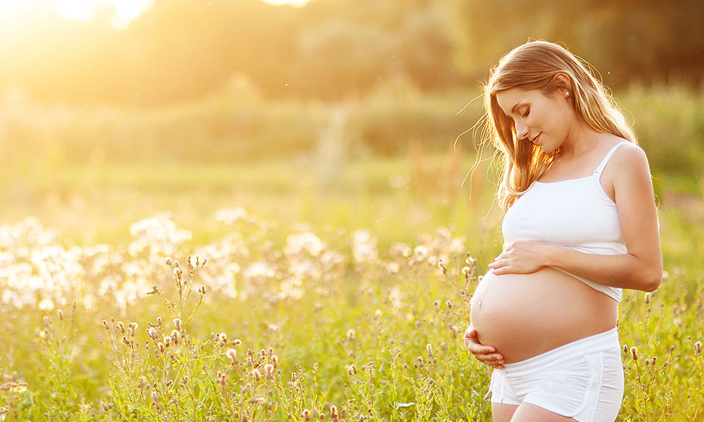 pregnant lady admiring her bump while surrounded by while flowers in the sunshine