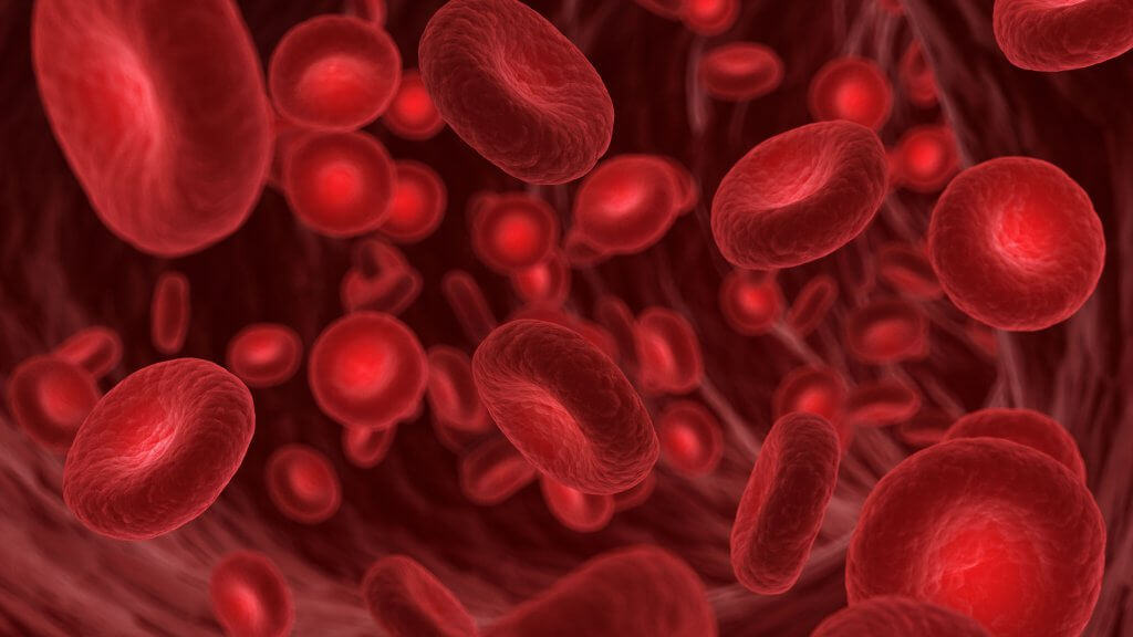 Gene Editing Stem Cell Therapy for Blood Disorder Begins NHS Rollout