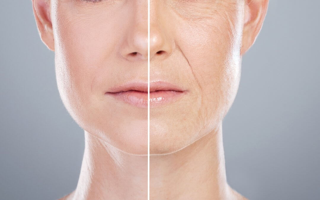 anti ageing stem cells