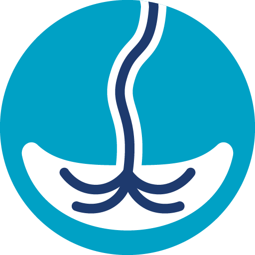 Placenta icon