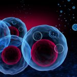 A 3d illustration of stem cells and exosomes.